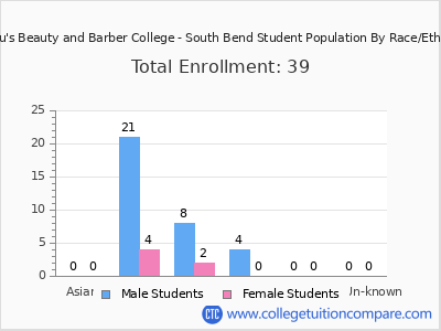 Lil Lou's Beauty and Barber College - South Bend 2025 Student Population by Gender and Race chart