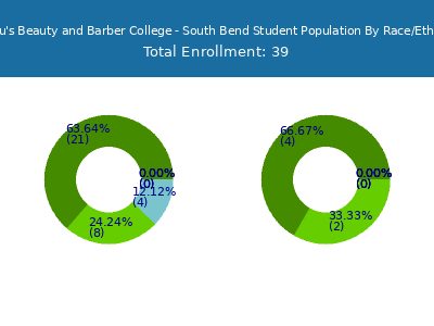 Lil Lou's Beauty and Barber College - South Bend 2025 Student Population by Gender and Race chart