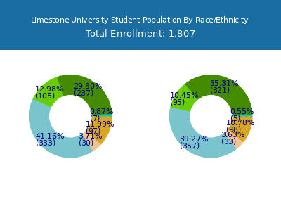 Limestone University 2025 Student Population by Gender and Race chart