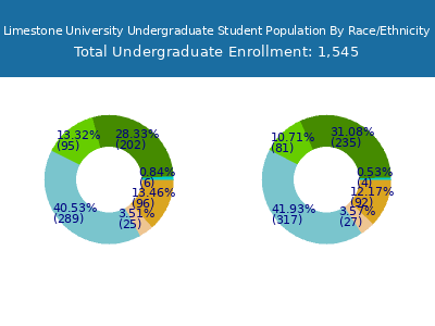 Limestone University 2025 Undergraduate Enrollment by Gender and Race chart