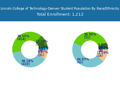 Lincoln College of Technology-Denver 2025 Student Population by Gender and Race chart
