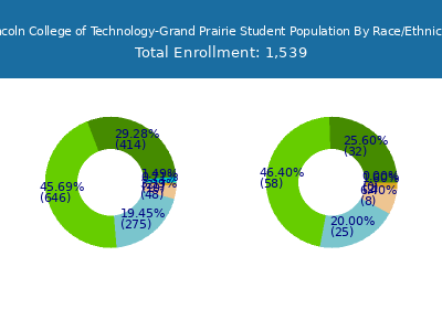 Lincoln College of Technology-Grand Prairie 2025 Student Population by Gender and Race chart