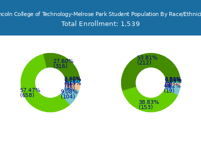 Lincoln College of Technology-Melrose Park 2025 Student Population by Gender and Race chart