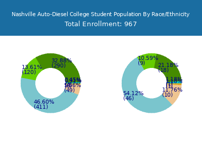 Nashville Auto-Diesel College 2025 Student Population by Gender and Race chart