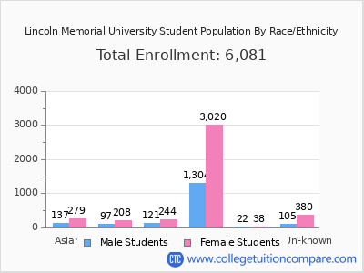 Lincoln Memorial University 2025 Student Population by Gender and Race chart