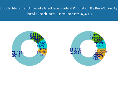 Lincoln Memorial University 2025 Graduate Enrollment by Gender and Race chart