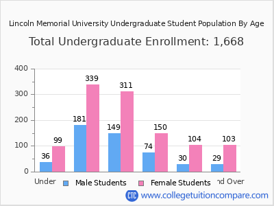Lincoln Memorial University 2024 Undergraduate Enrollment by Age chart