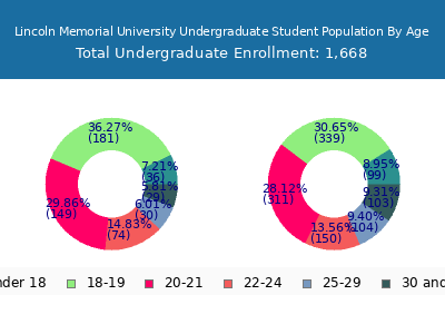 Lincoln Memorial University 2024 Undergraduate Enrollment Age Diversity Pie chart