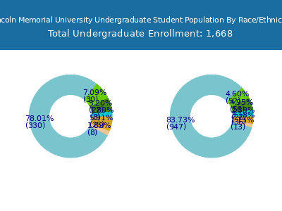 Lincoln Memorial University 2025 Undergraduate Enrollment by Gender and Race chart