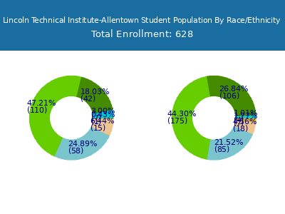 Lincoln Technical Institute-Allentown 2025 Student Population by Gender and Race chart