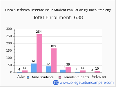 Lincoln Technical Institute-Iselin 2025 Student Population by Gender and Race chart