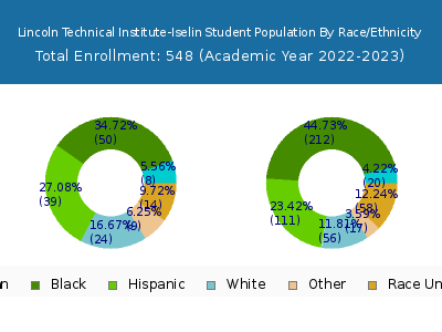 Lincoln Technical Institute-Iselin 2023 Student Population by Gender and Race chart