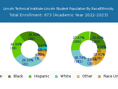 Lincoln Technical Institute-Lincoln 2023 Student Population by Gender and Race chart