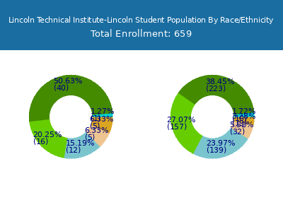 Lincoln Technical Institute-Lincoln 2025 Student Population by Gender and Race chart