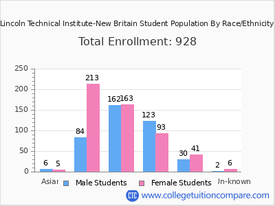 Lincoln Technical Institute-New Britain 2025 Student Population by Gender and Race chart
