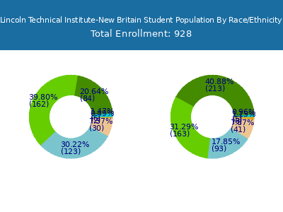Lincoln Technical Institute-New Britain 2025 Student Population by Gender and Race chart