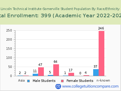 Lincoln Technical Institute-Somerville 2023 Student Population by Gender and Race chart