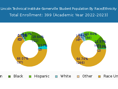Lincoln Technical Institute-Somerville 2023 Student Population by Gender and Race chart