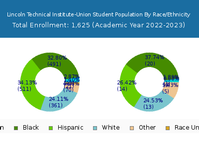 Lincoln Technical Institute-Union 2023 Student Population by Gender and Race chart