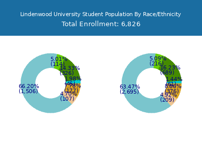 Lindenwood University 2025 Student Population by Gender and Race chart