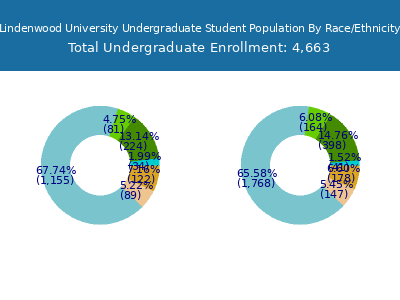 Lindenwood University 2025 Undergraduate Enrollment by Gender and Race chart
