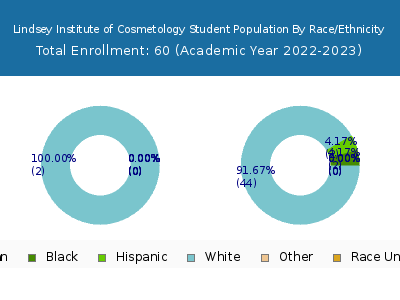 Lindsey Institute of Cosmetology 2023 Student Population by Gender and Race chart
