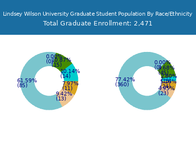 Lindsey Wilson University 2025 Graduate Enrollment by Gender and Race chart
