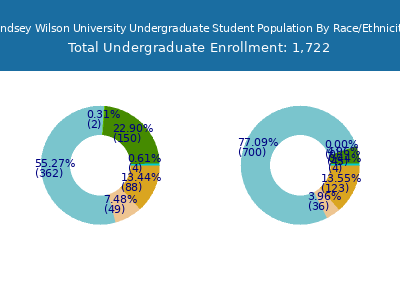 Lindsey Wilson University 2025 Undergraduate Enrollment by Gender and Race chart