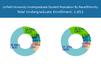 Linfield University 2025 Undergraduate Enrollment by Gender and Race chart