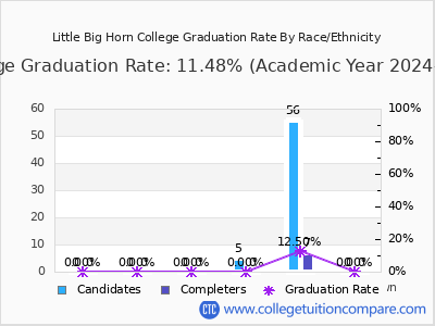 Little Big Horn College graduation rate by race