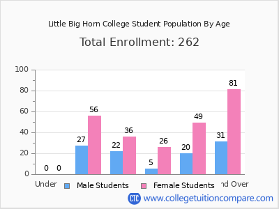Little Big Horn College 2024 Student Population by Age chart