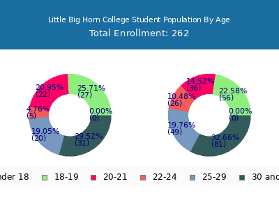 Little Big Horn College 2024 Student Population Age Diversity Pie chart
