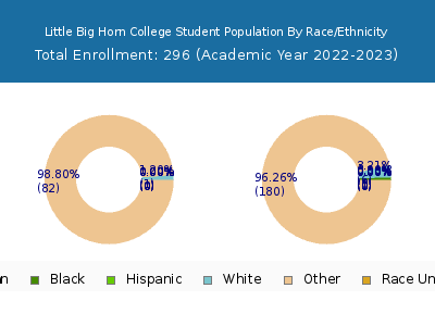 Little Big Horn College 2023 Student Population by Gender and Race chart