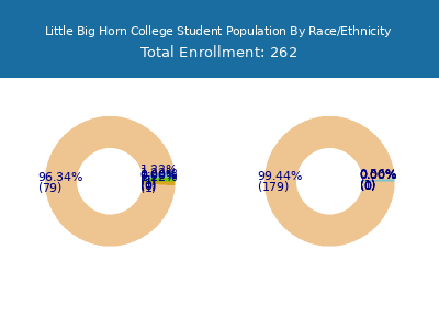 Little Big Horn College 2025 Student Population by Gender and Race chart