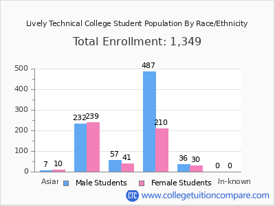 Lively Technical College 2025 Student Population by Gender and Race chart