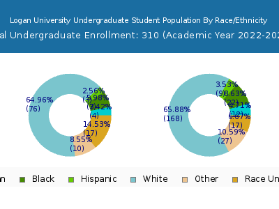 Logan University 2023 Undergraduate Enrollment by Gender and Race chart