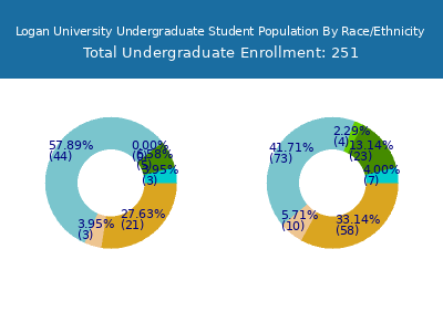 Logan University 2025 Undergraduate Enrollment by Gender and Race chart