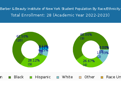 Barber & Beauty Institute of New York 2023 Student Population by Gender and Race chart