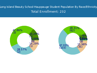Long Island Beauty School-Hauppauge 2025 Student Population by Gender and Race chart