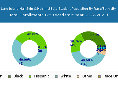 Long Island Nail Skin & Hair Institute 2023 Student Population by Gender and Race chart