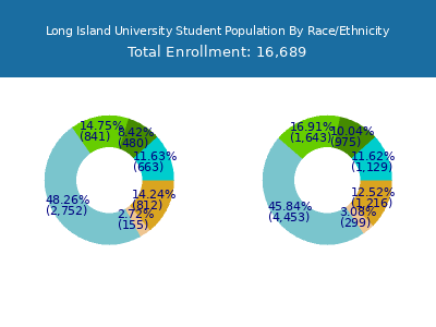 Long Island University 2025 Student Population by Gender and Race chart