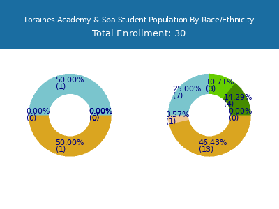 Loraines Academy & Spa 2025 Student Population by Gender and Race chart