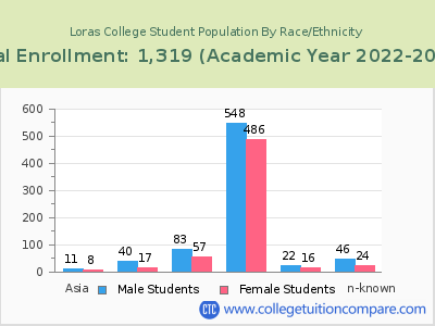 Loras College 2023 Student Population by Gender and Race chart