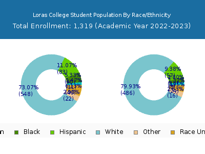 Loras College 2023 Student Population by Gender and Race chart