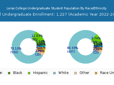 Loras College 2023 Undergraduate Enrollment by Gender and Race chart