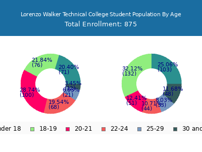 Lorenzo Walker Technical College 2024 Student Population Age Diversity Pie chart