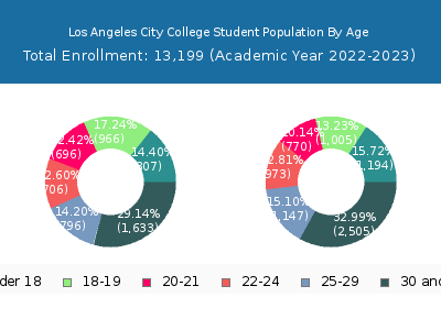 Los Angeles City College 2023 Student Population Age Diversity Pie chart