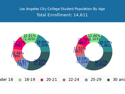 Los Angeles City College 2025 Student Population Age Diversity Pie chart