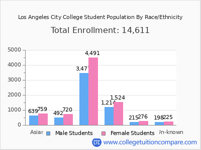 Los Angeles City College 2025 Student Population by Gender and Race chart