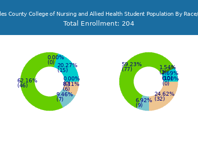 Los Angeles County College of Nursing and Allied Health 2025 Student Population by Gender and Race chart
